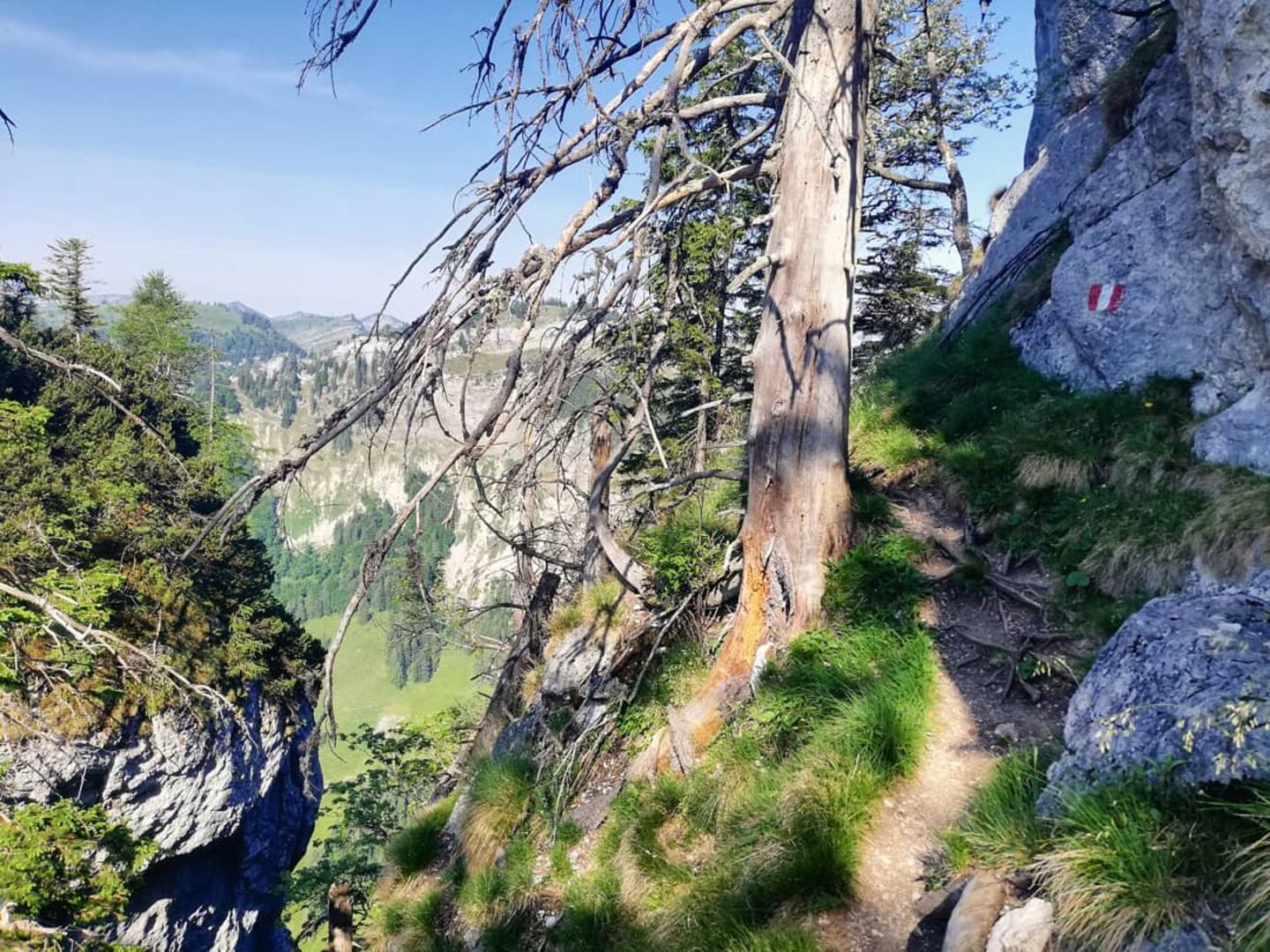 Steiler Weg Richtung Gipfel | Credit: Simone Reitmeier