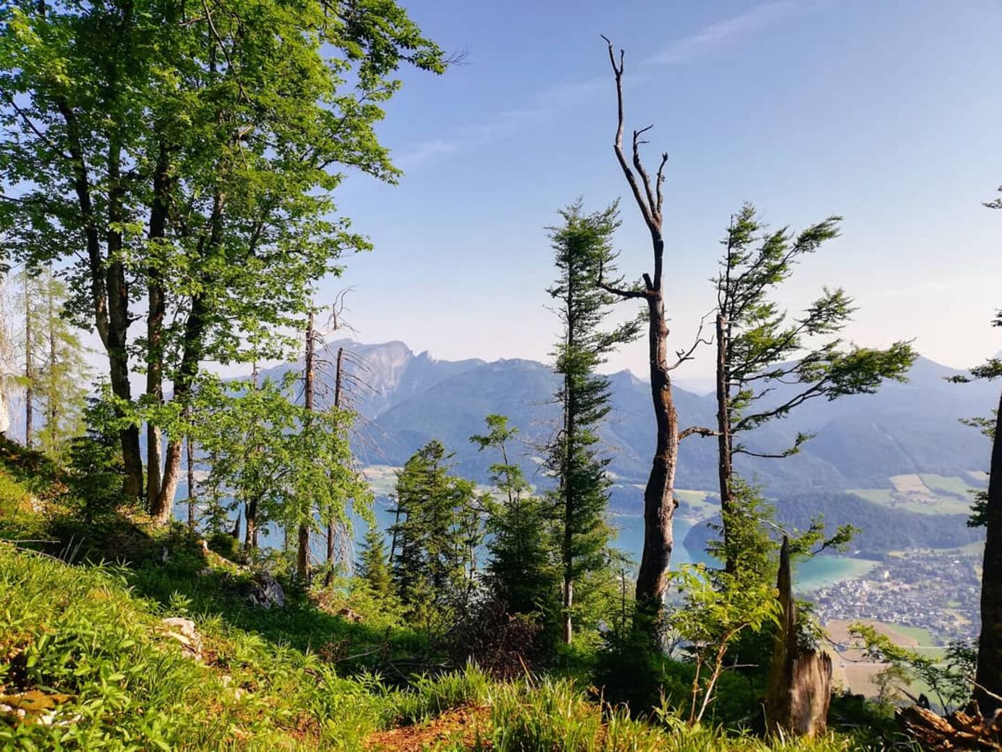 Stets im Blick: der Wolfgangsee | Credit: Simone Reitmeier