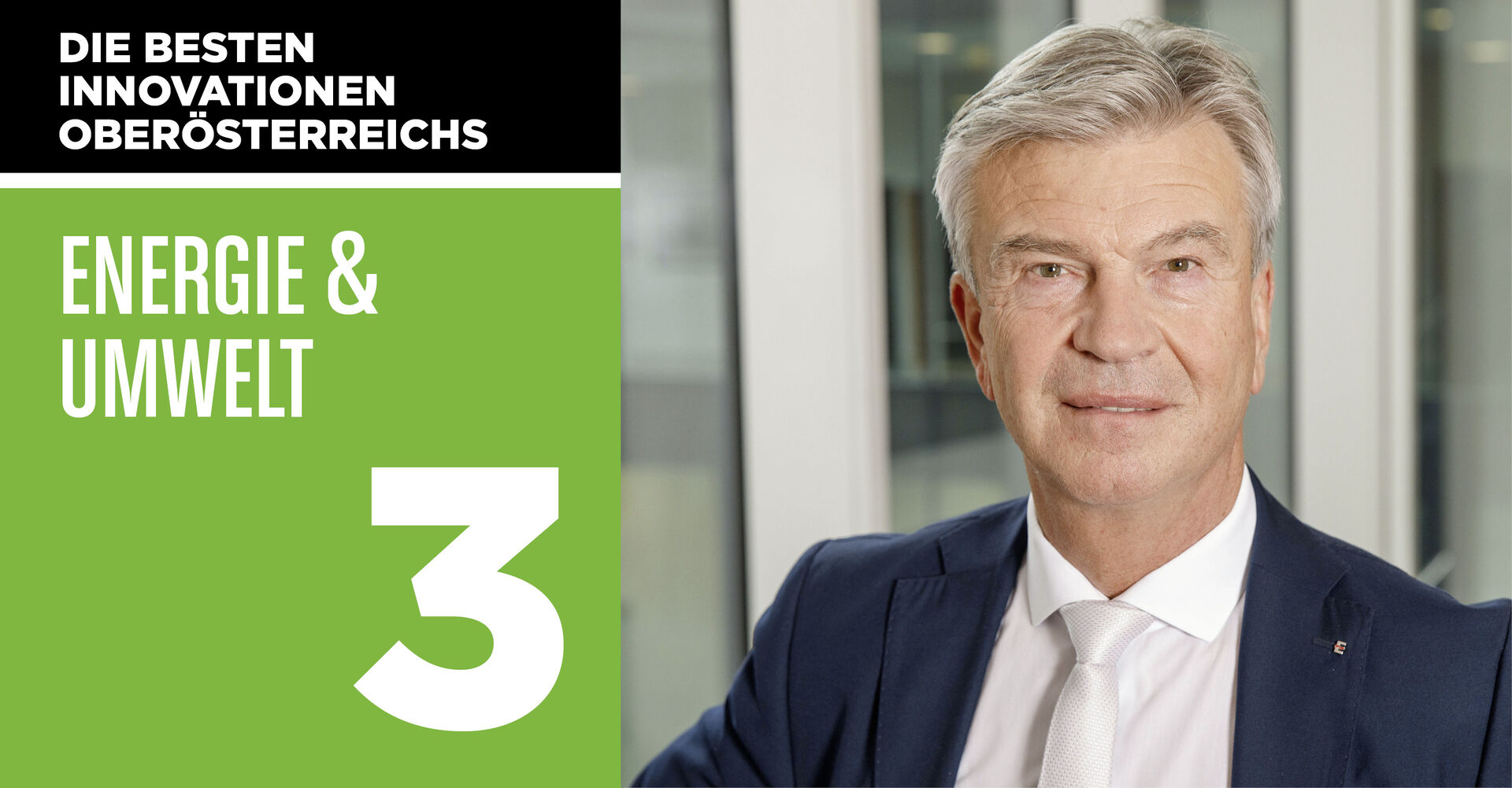 Werner Steinecker, Generaldirektor Energie AG