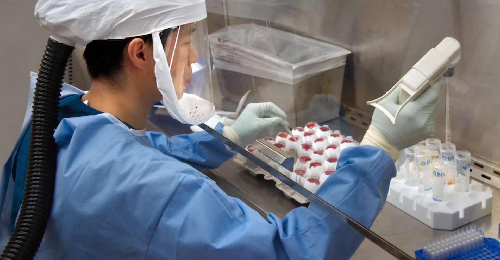 Ein Mann mit einer hermetischen Atemmaske und Sauerstoffzufuhr entimmt Hühnereier mit einer Pipette Material. Die Proben im Labor sind zudem hinter einer Glaswand.