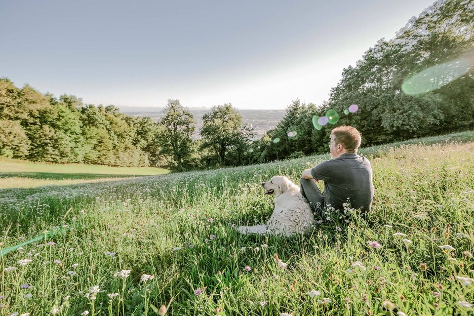 Anschober und Hund sitzen auf einer Wiese und schauen in die Landschaft