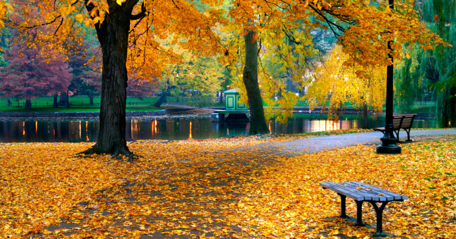 Der Public Garden in Boston | Credit: iStock.com/coleong
