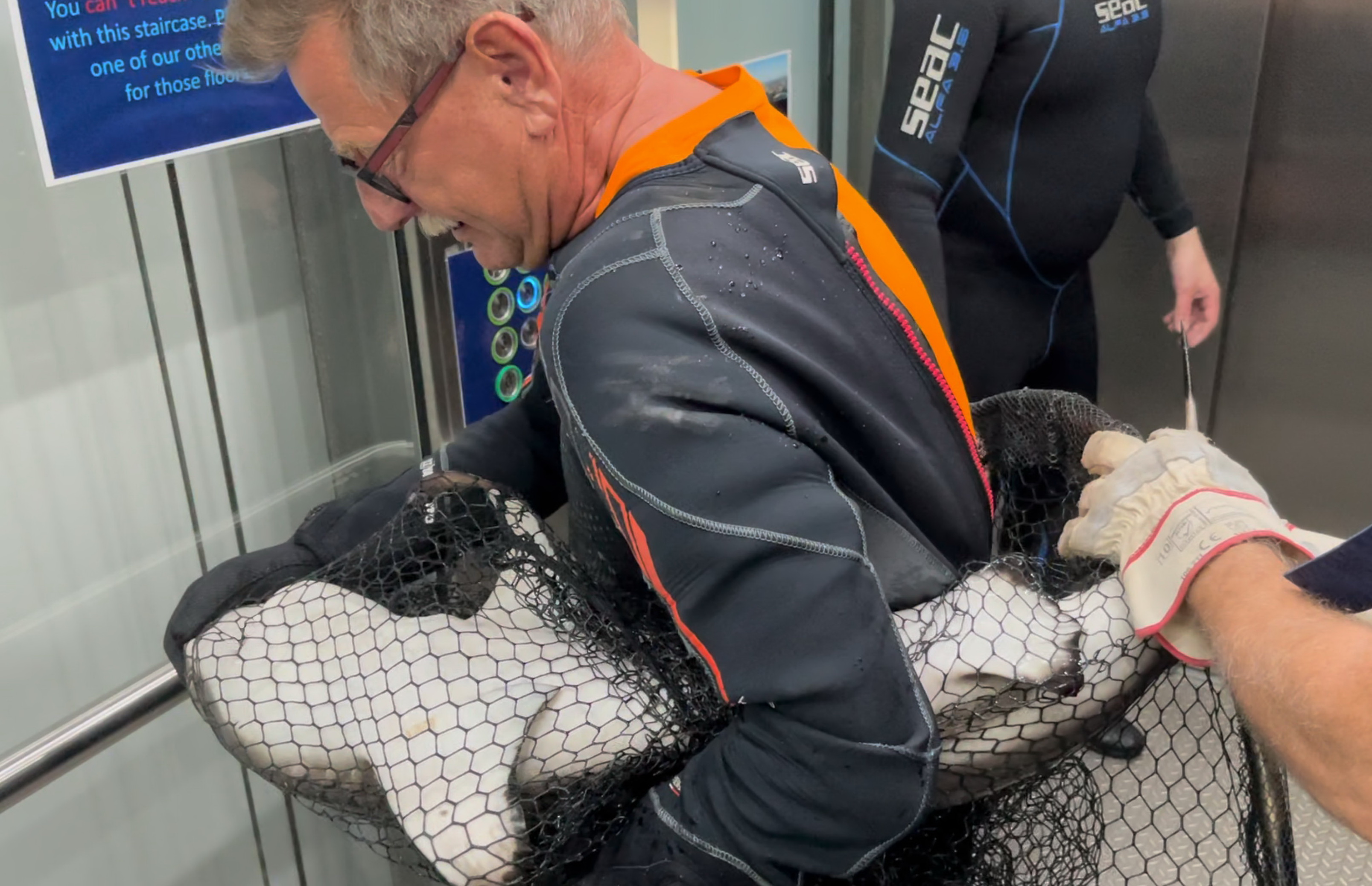 Mann trägt Hai | Credit: Philipp Heinzl