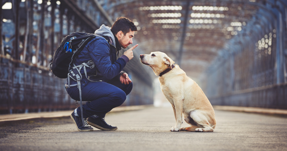 Ein Mann mit seinem Hund | Credit: iStock.com/Chalabala