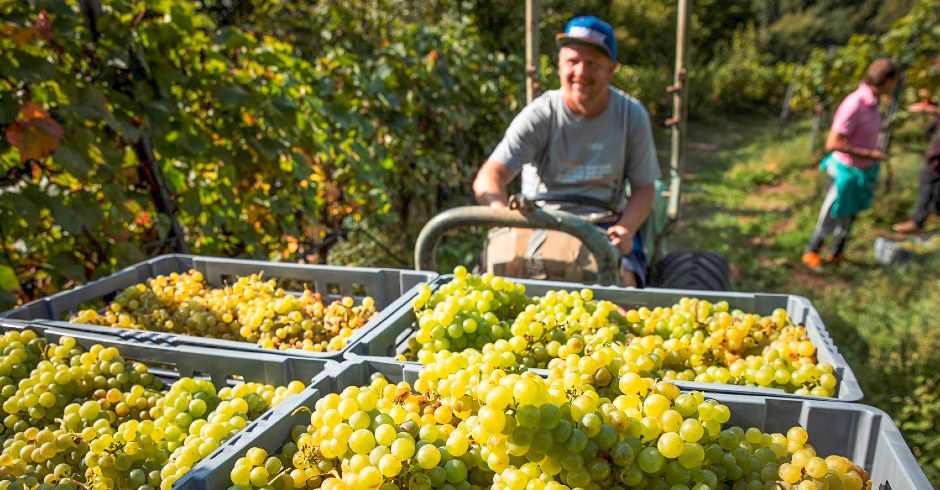 Der Manfred &amp; die Seinen