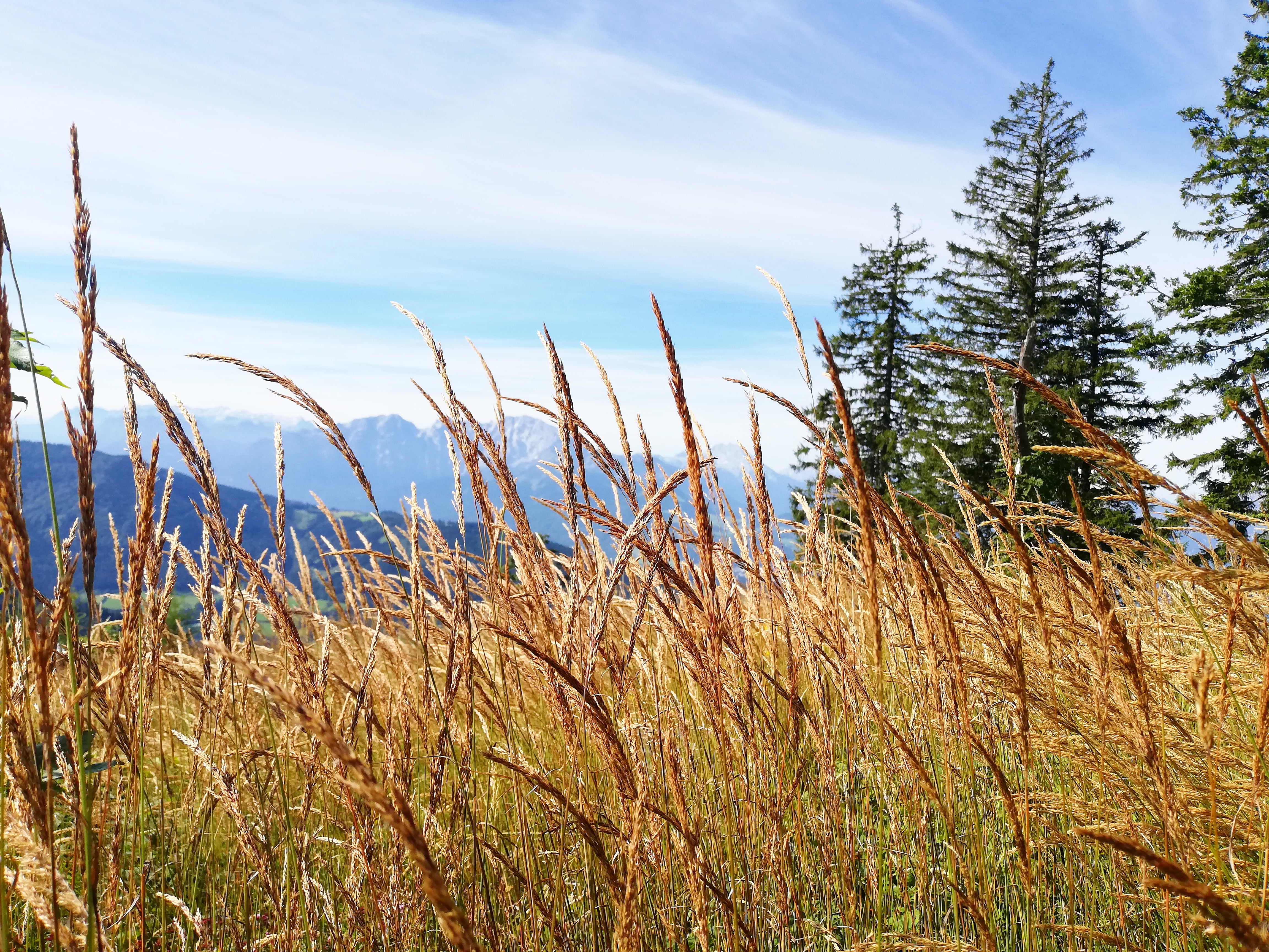 Eibleck-Runde | Credit: Simone Reitmeier