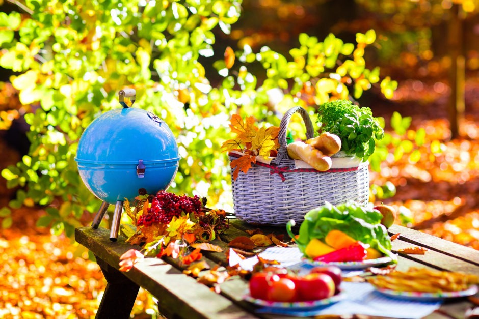 Herbst-Picknick bei traumhaft schönem Wetter | Credit: iStock.com/FamVeld