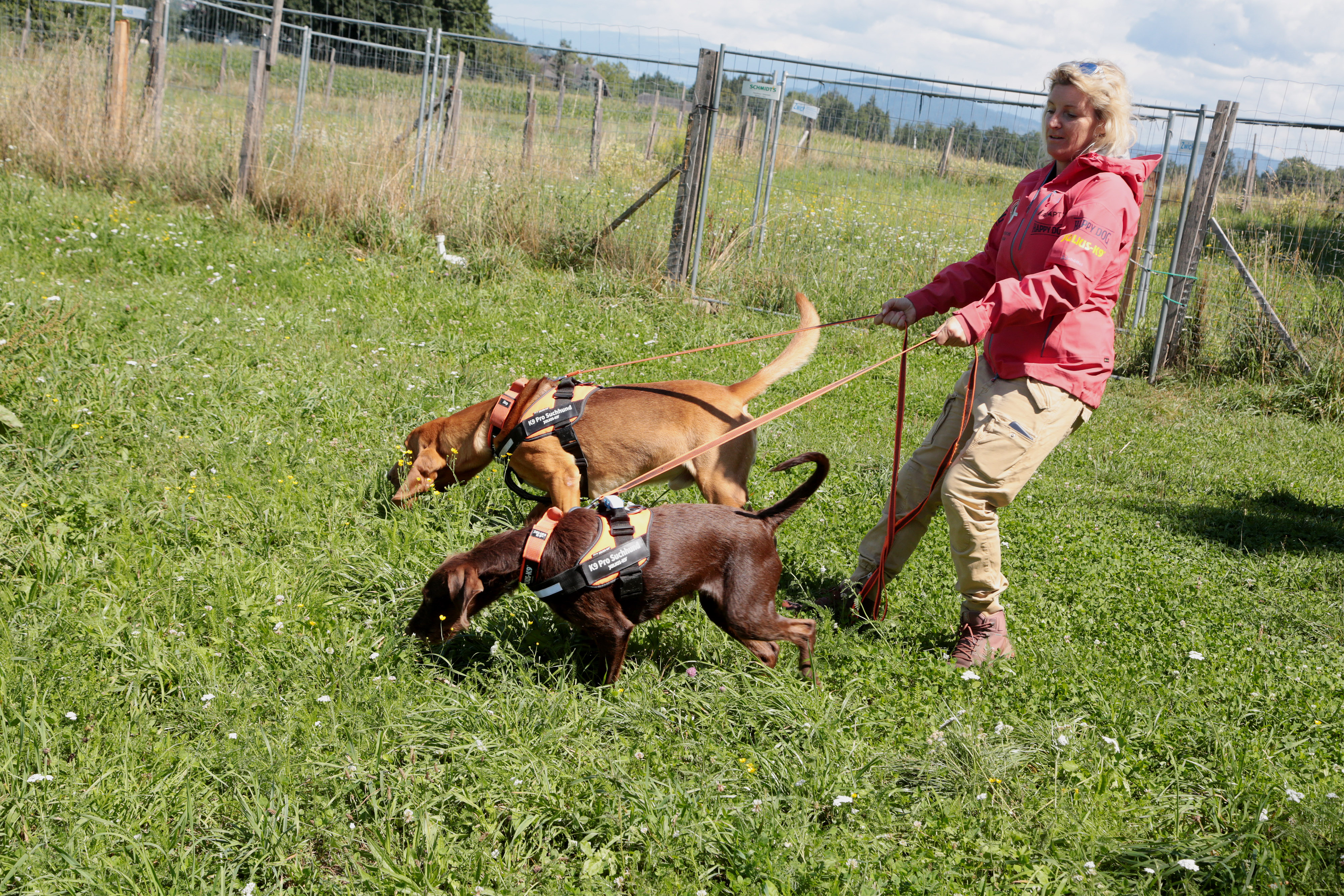 Alexandra Grunow führt zwei Hunde an der Leine über eine Wiese