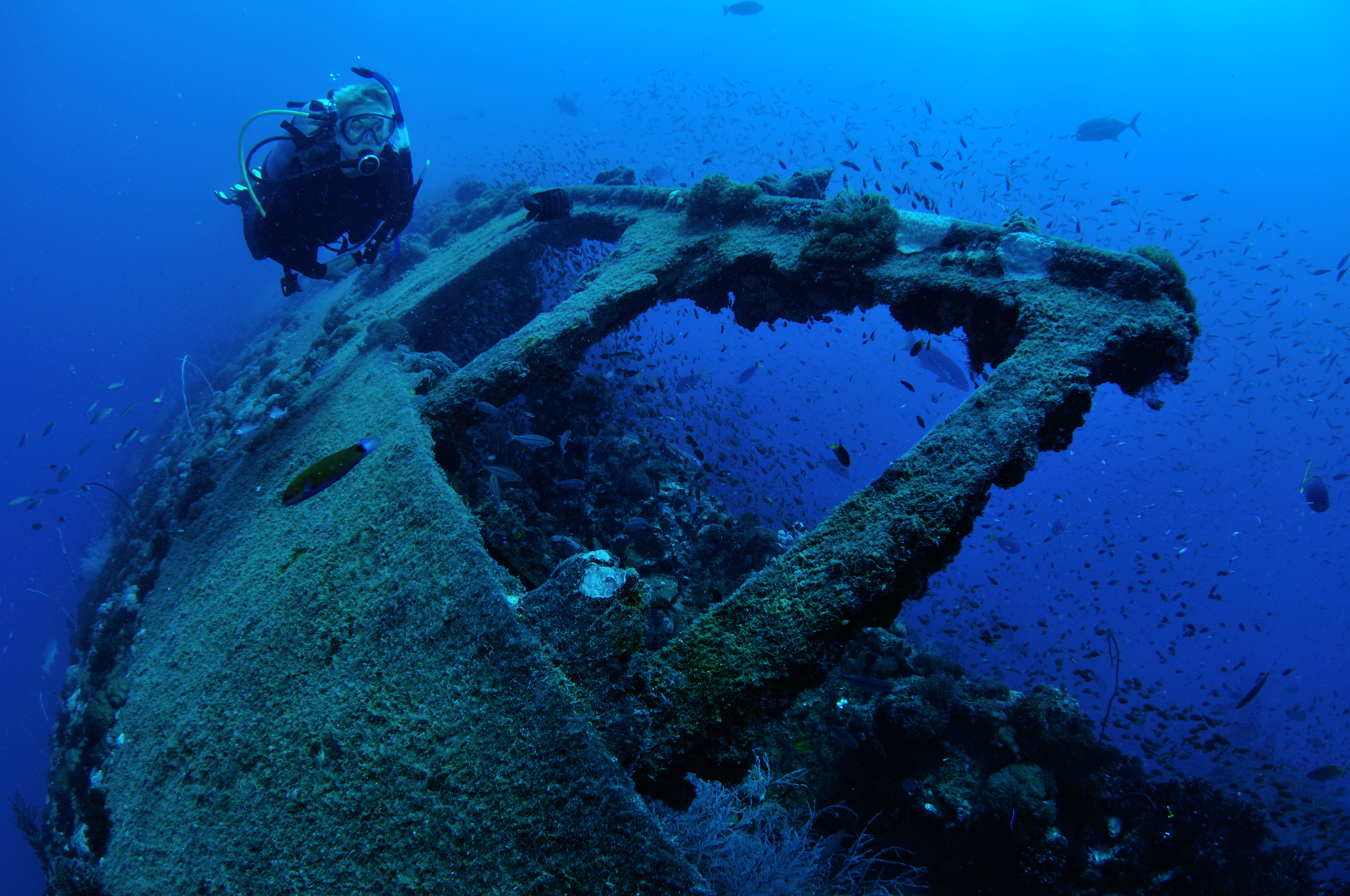 S.S. Yongala | Credit: iStock.com/Nigel Marsh