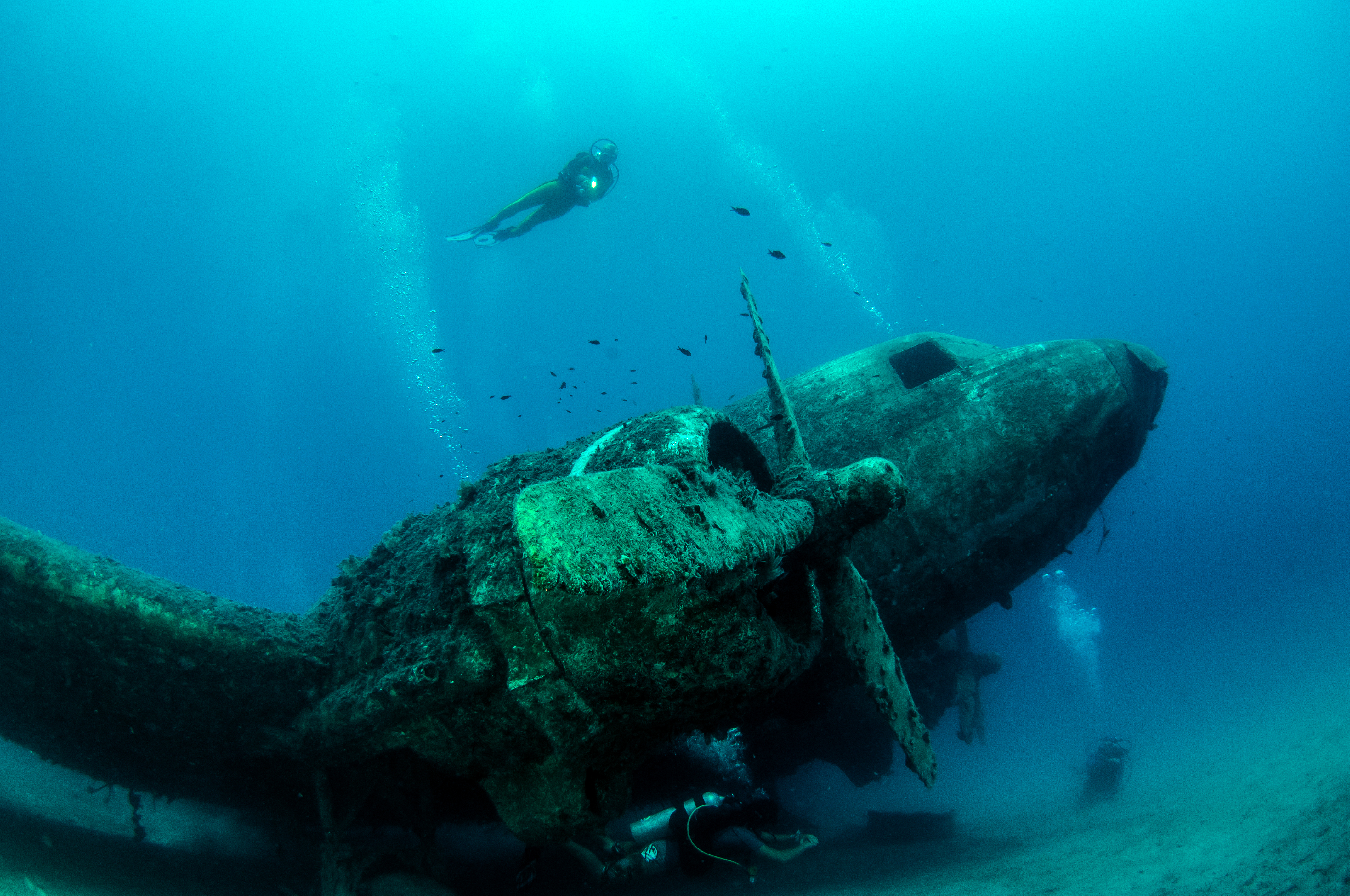 „Douglas C-47 Skytrain“ in der Türkei | Credit: iStock.com/Divepic