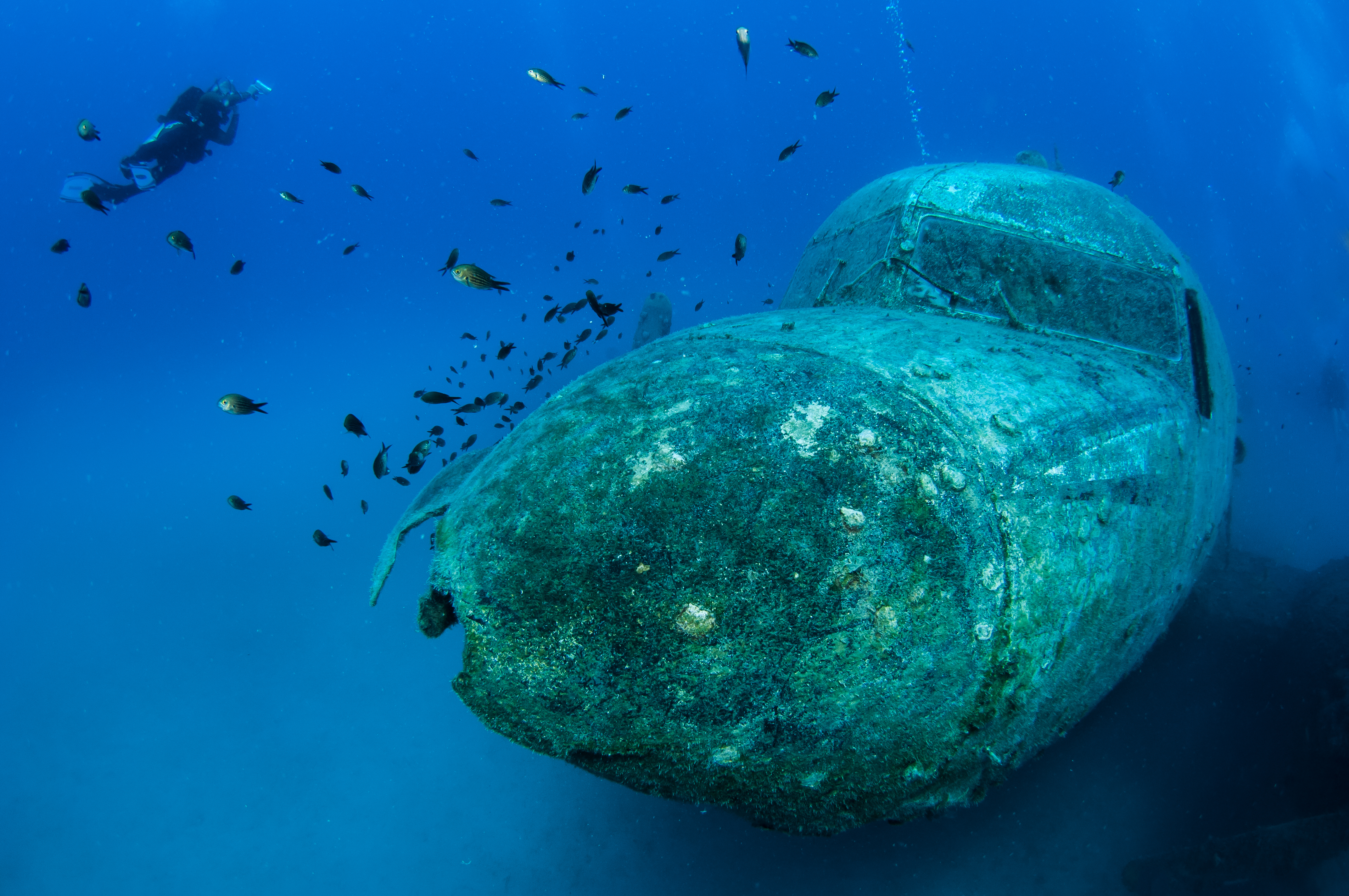Die &quot;Nase&quot; des Flugzeugs | Credit: iStock.com/Divepic