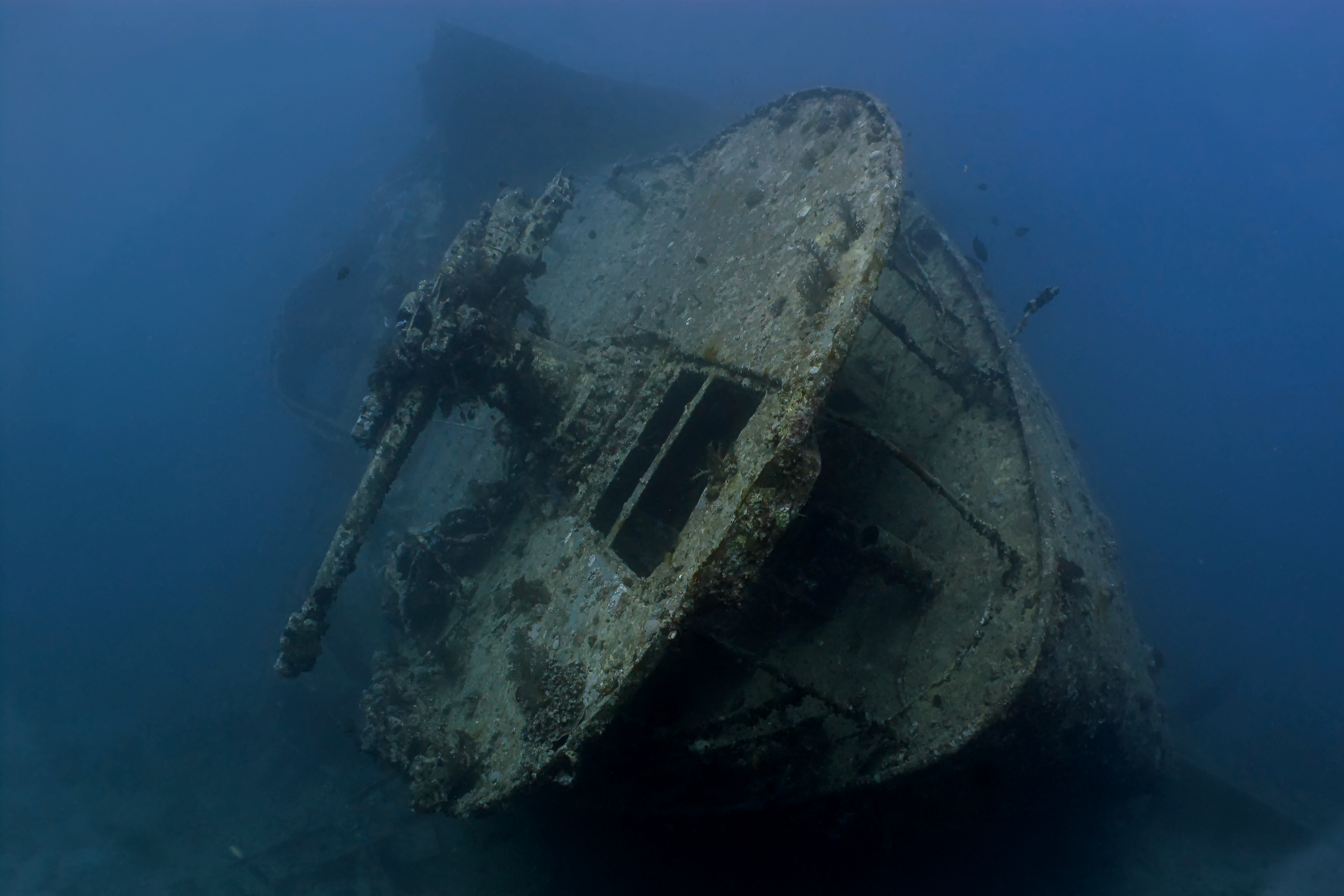 SS Thistlegorm | Credit: iStock.com/lilithlita