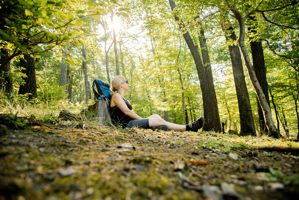Wald Fachtagung Ossiach