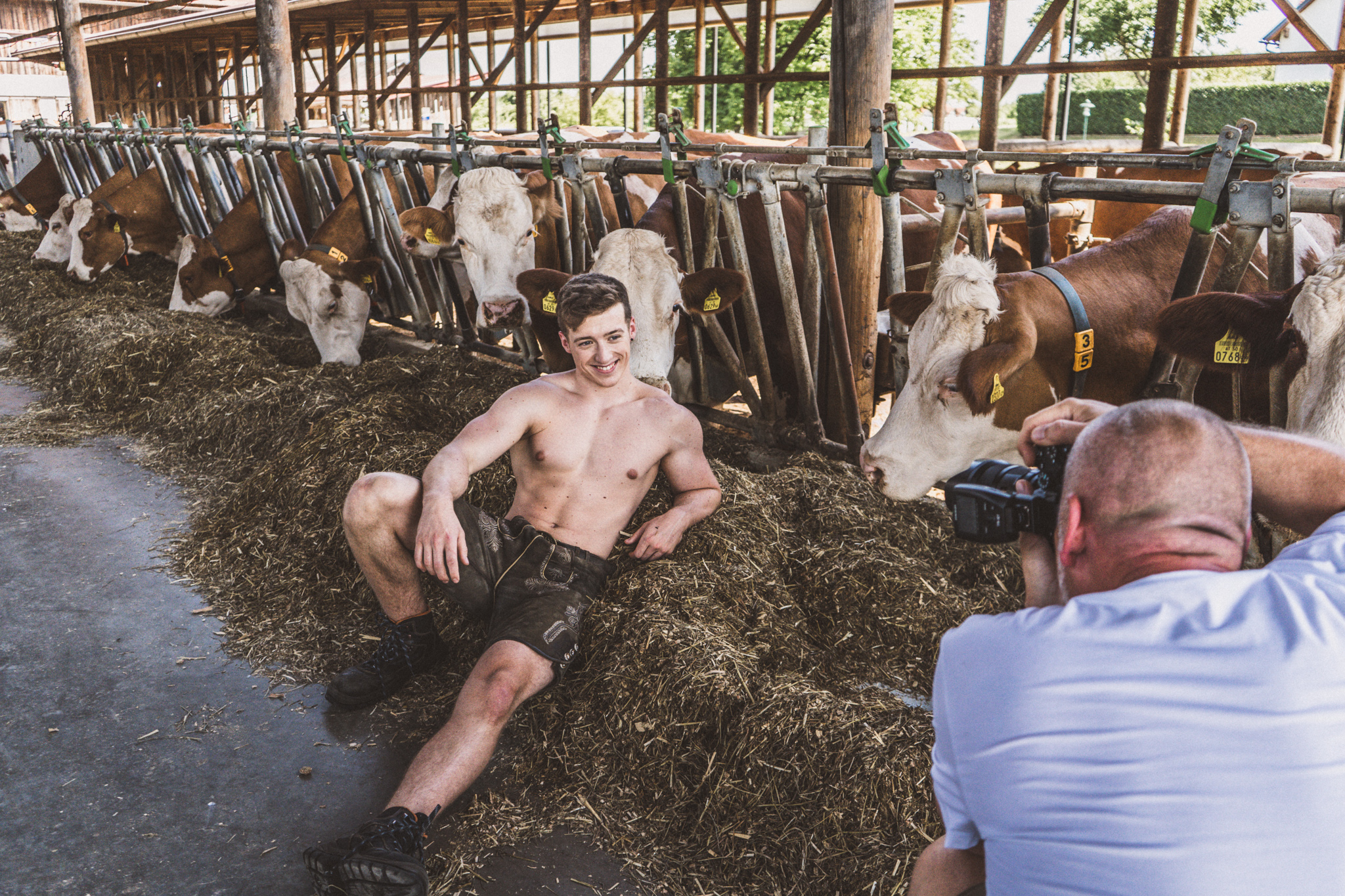 Bauer im Stall mit Kühen