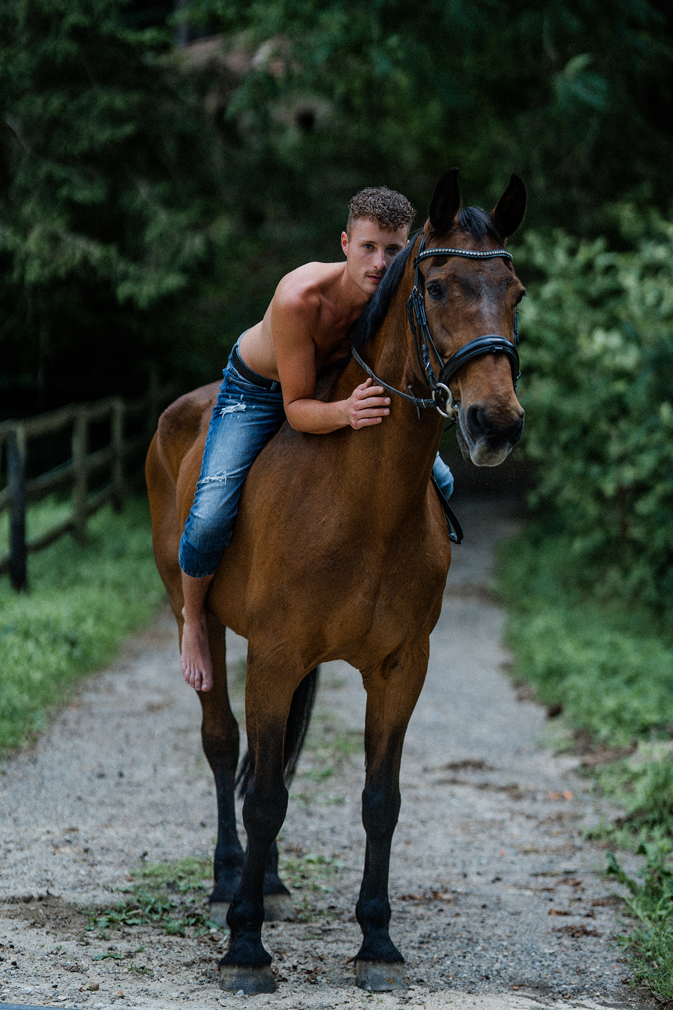 Junger Mann auf einem Pferd