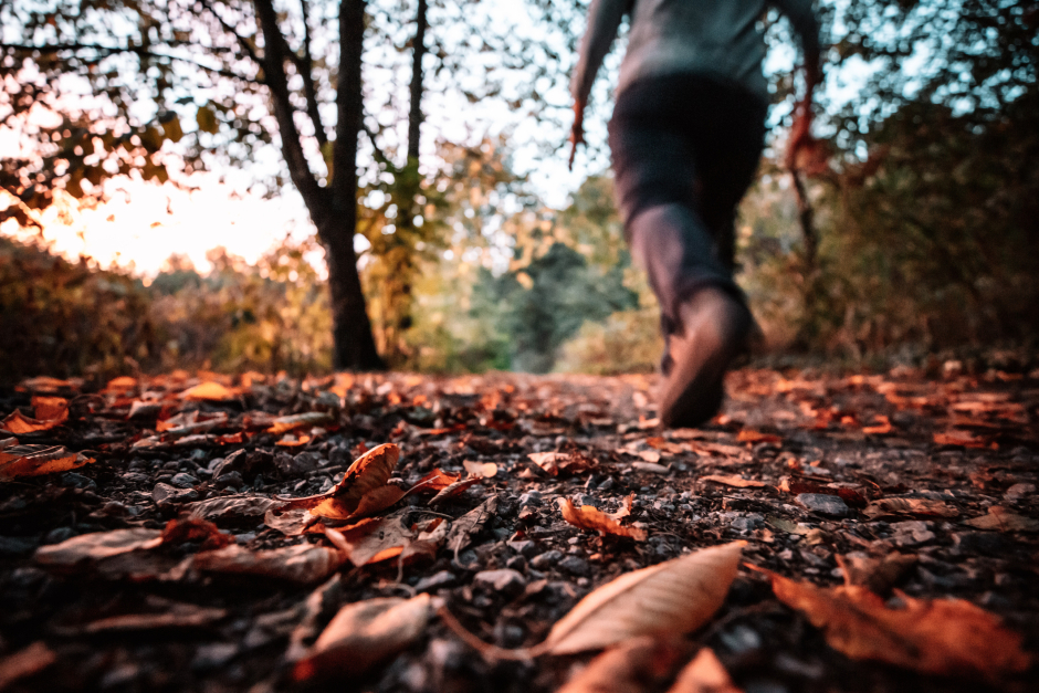 Rückenansicht eines Mannes beim herbstlichen Waldlauf | Credit: iStock.com/Marian Hamacher