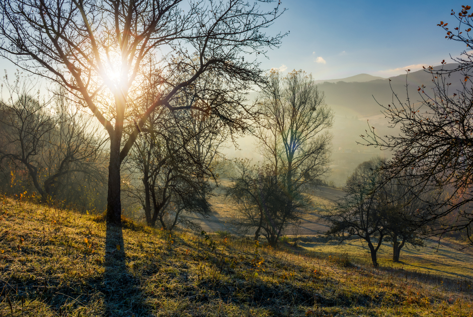 Herbstliche Landschaft bei Sonnenuntergang | Credit: iStock.com/Mike_Pellinni