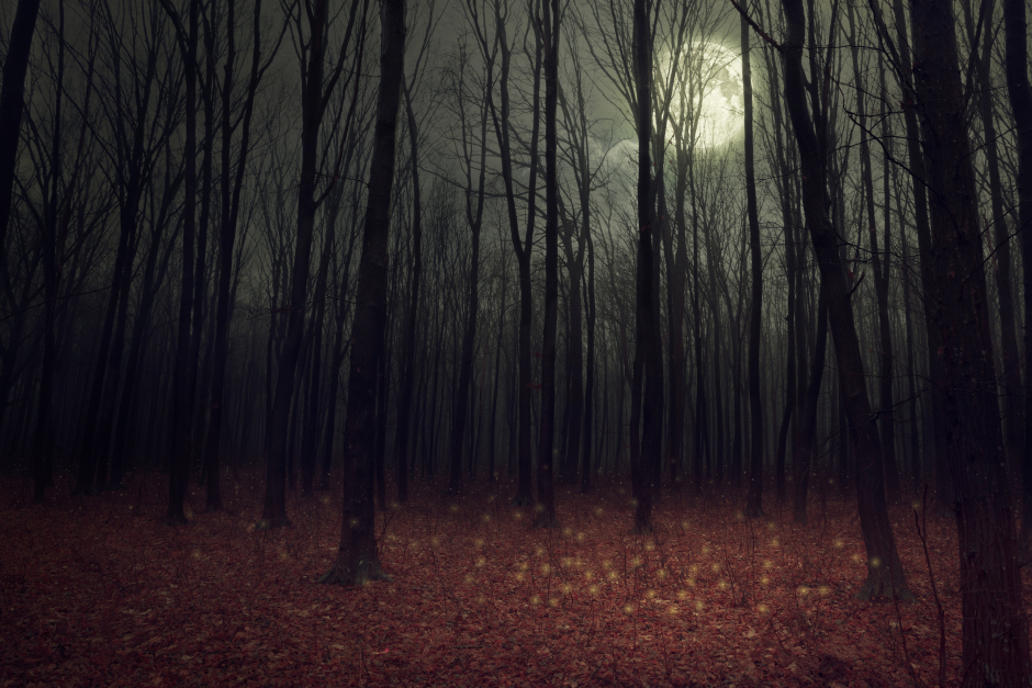 Düsterer Wald bei Vollmond | Credit: iStock.com/robertsrob