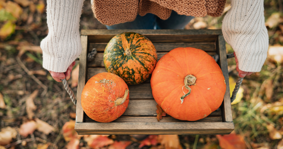 In ihrer Holzkiste, die sie mit beiden Händen hält, hat diese Frau Kürbisse gesammelt | Credit: iStock.com/Lifemoment