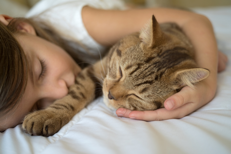 Ein Mädchen schläft Seite an Seite mit ihrer Katze | Credit: iStock.com/SurkovDimitri