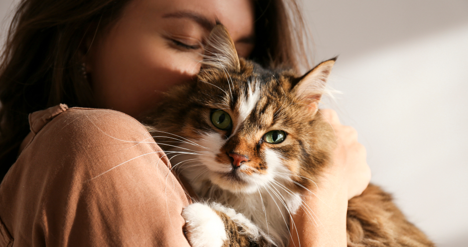 Frau schmust mit ihrer Katze | Credit: iStock.com/undefined