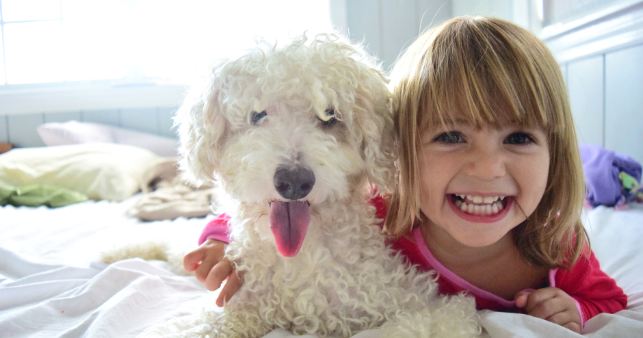 Kleines Mädchen hält ihren kleinen weißen Hund eng an sich gedrückt | Credit: iStock.com/Lisa5201