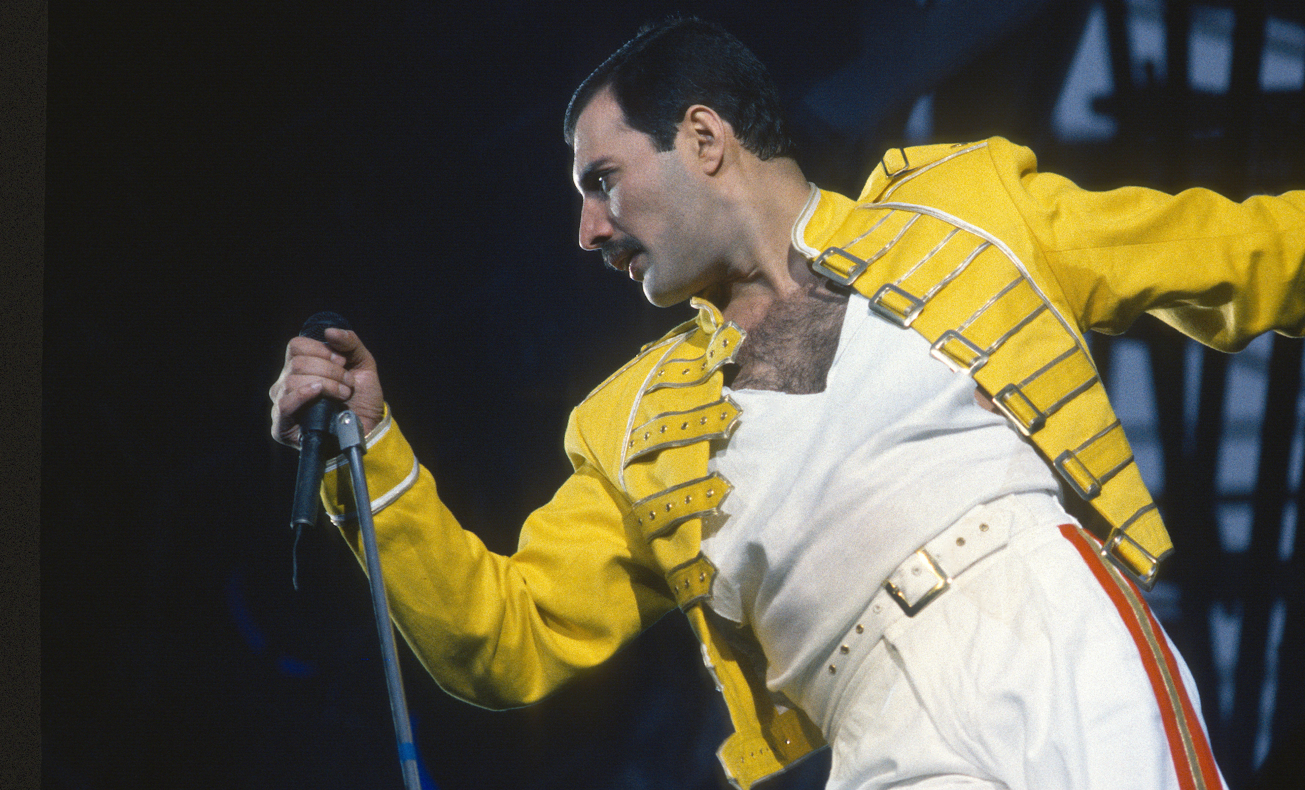 Freddie Mercury bei einem Auftritt