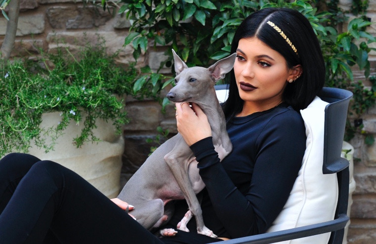 Star-Haustiere auf Insta | Credit: MICHAEL SIMON / Action Press / picturedesk.com