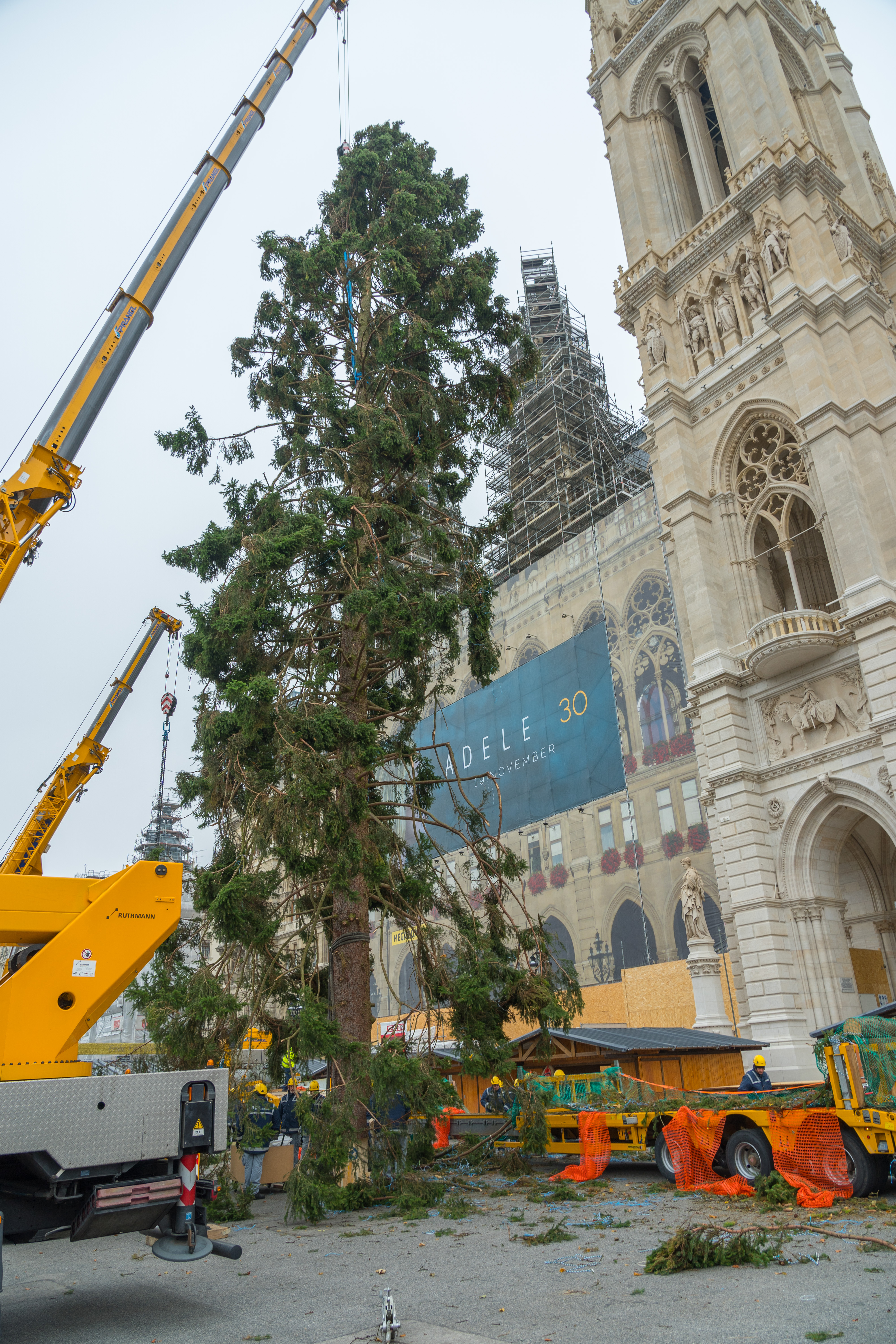Christbaum wird mit Kran aufgestellt | Credit: Andreas Tischler/picturedesk.com