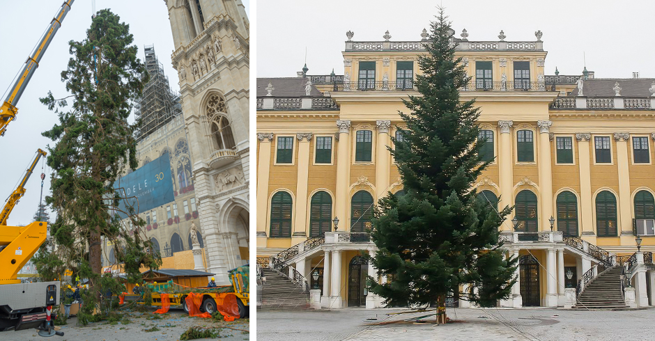 Christbaum aufstellen | Credit: Andreas Tischler/picturedesk.com, ÖBf-Archiv/Wolfgang Simlinger, www.weihnachtsmarkt.co.at/FOTOFALLY, Collage: Garzarolli Thurnlackh Frank