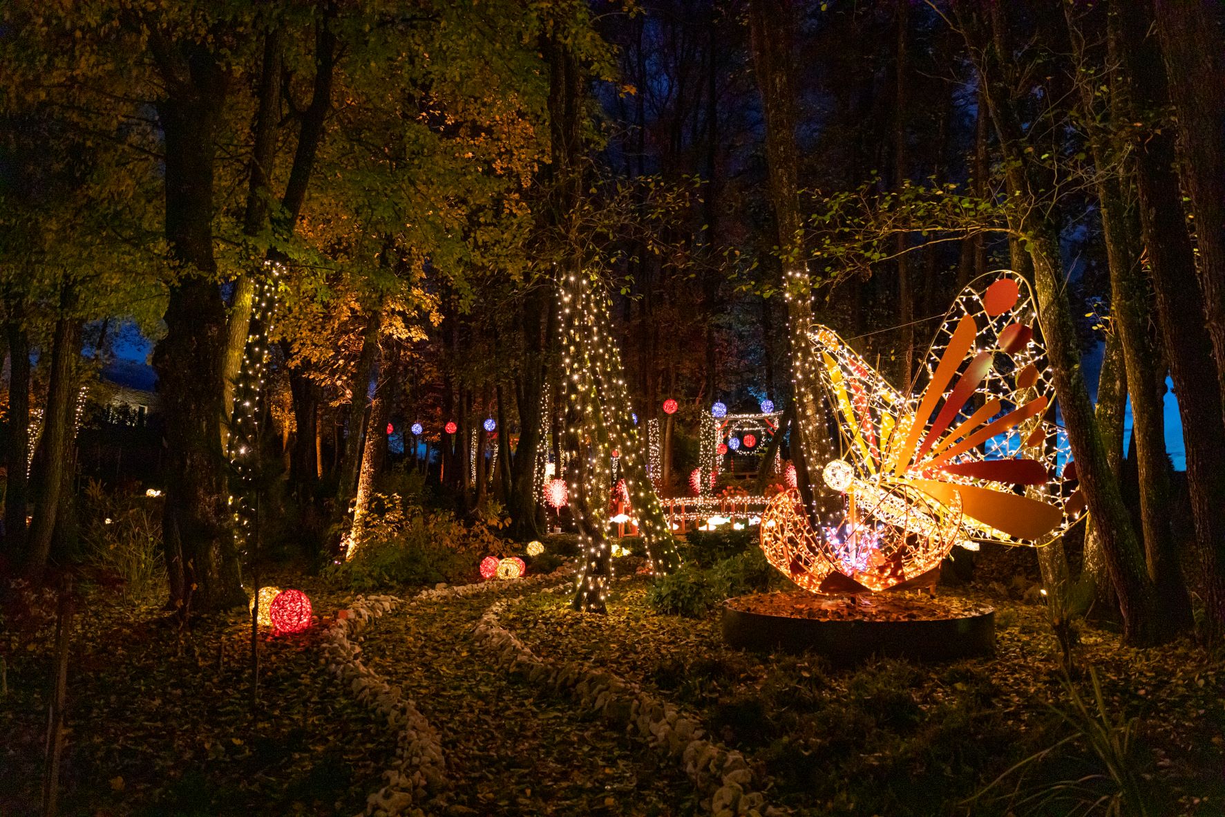 Lichterpark &amp; Adventzauber Domäne Lilienberg