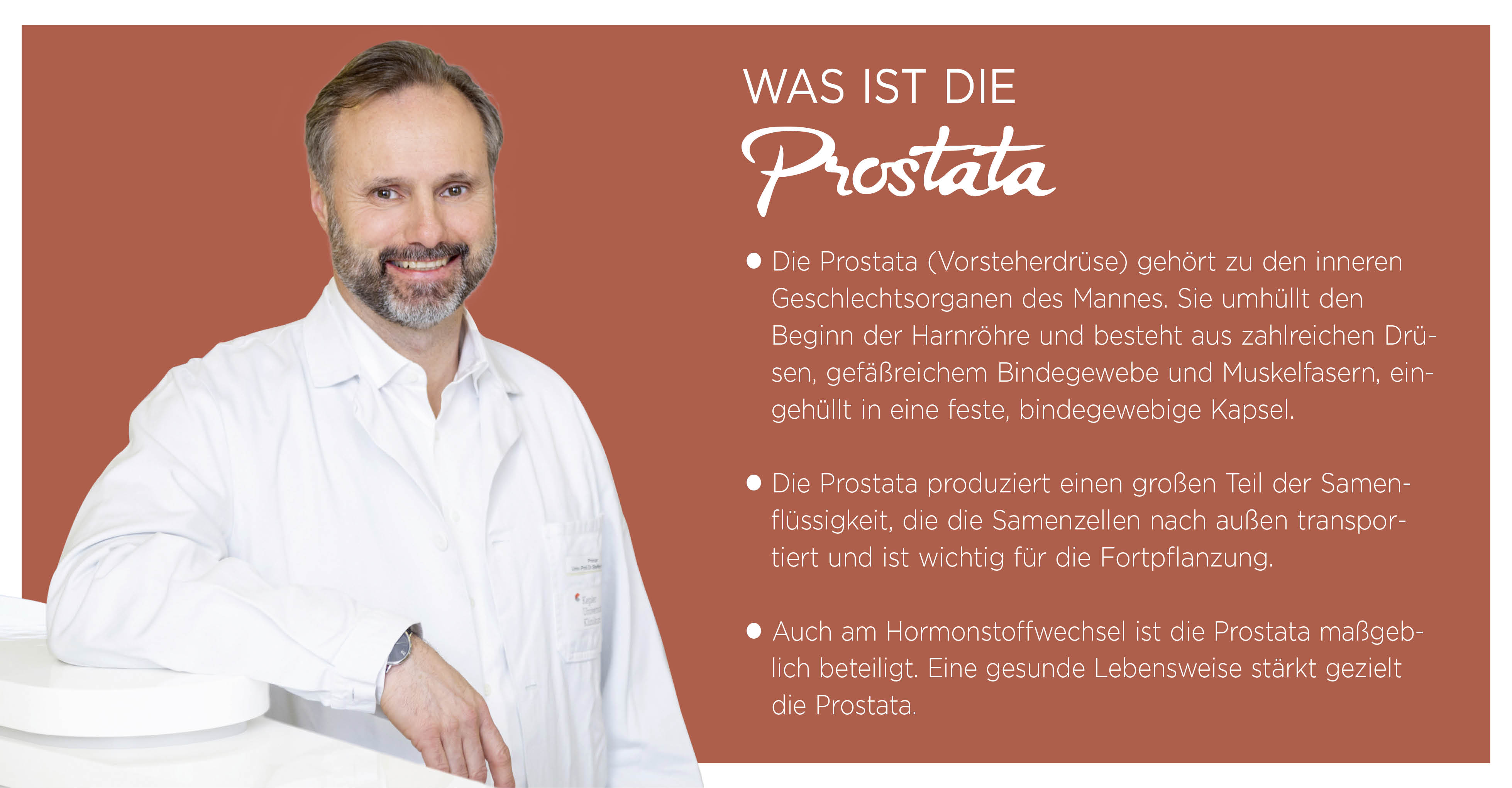 Wissenswertes über die Prostata