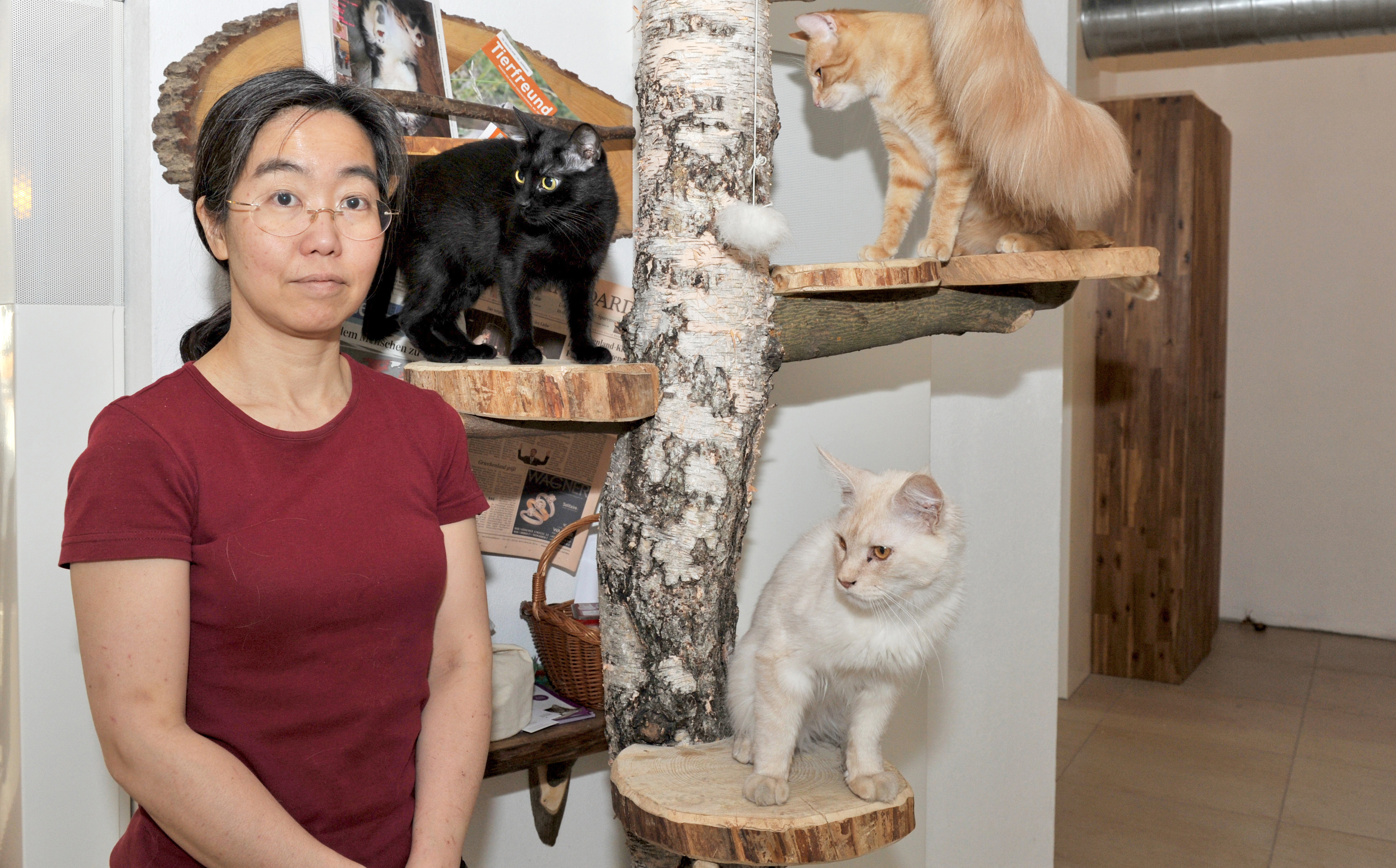 Café Neko in Wien | Credit: Thomas Blazina / dpa / picturedesk.com