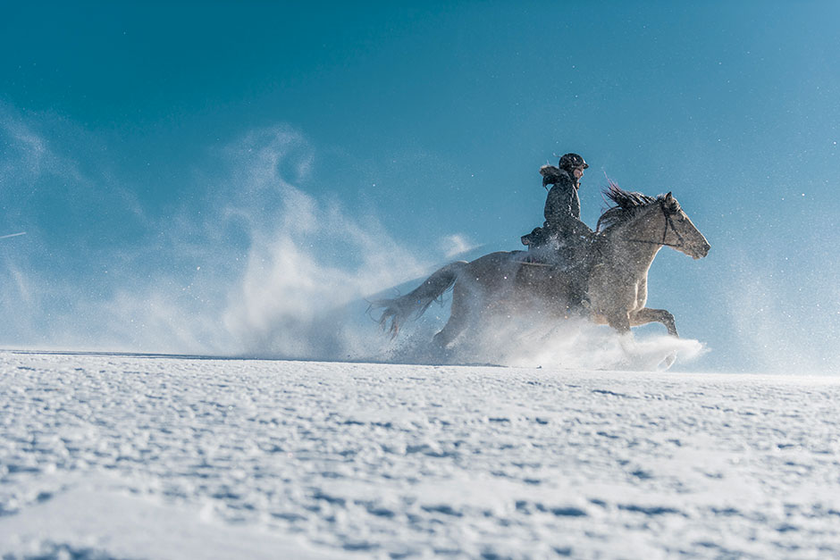 Junge Frau reitet durch den Schnee | Credit: Oberösterreich Tourismus GmbH/David Lugmayr