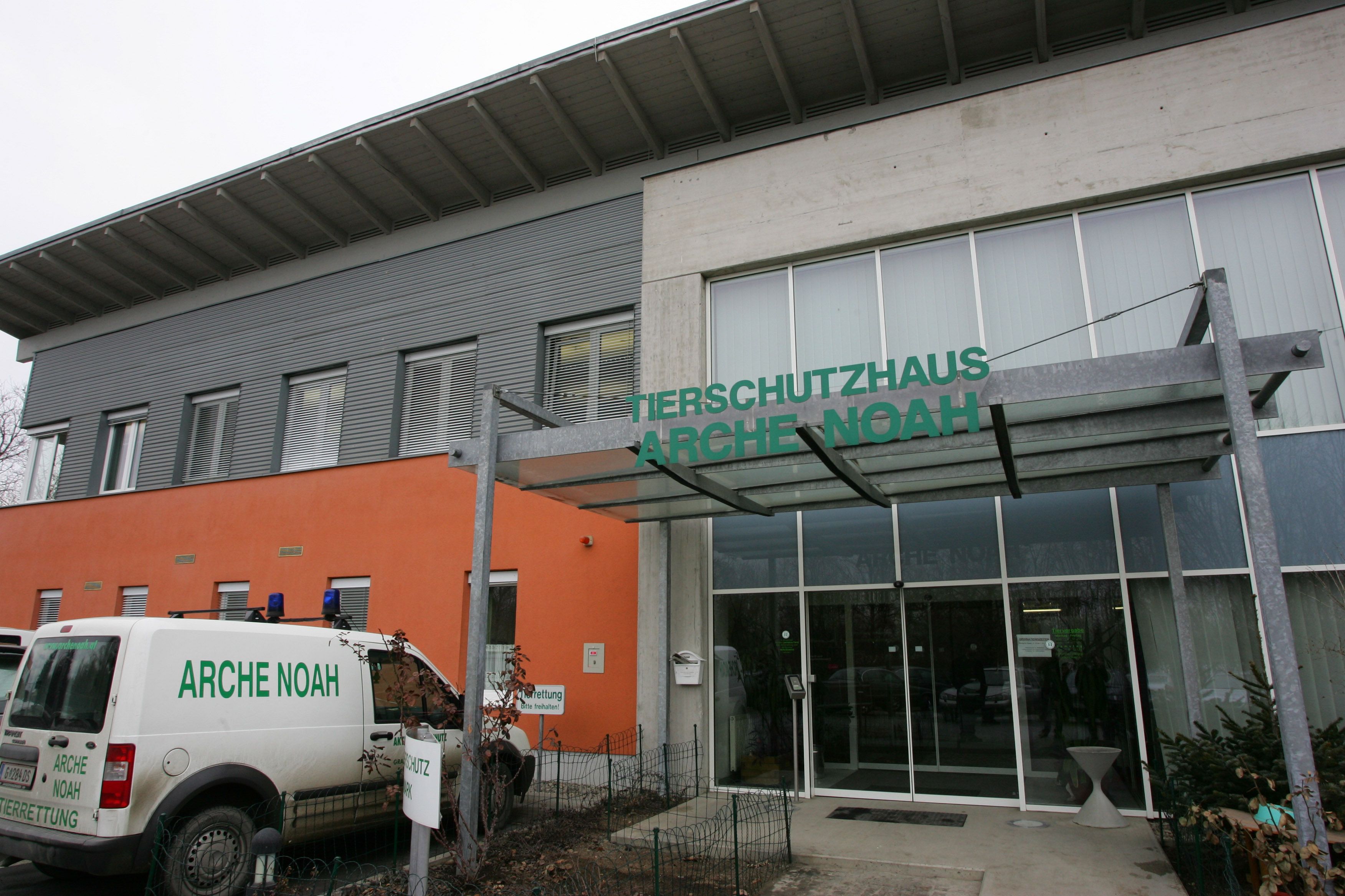 Tierheim Arche Noah in der Steiermark