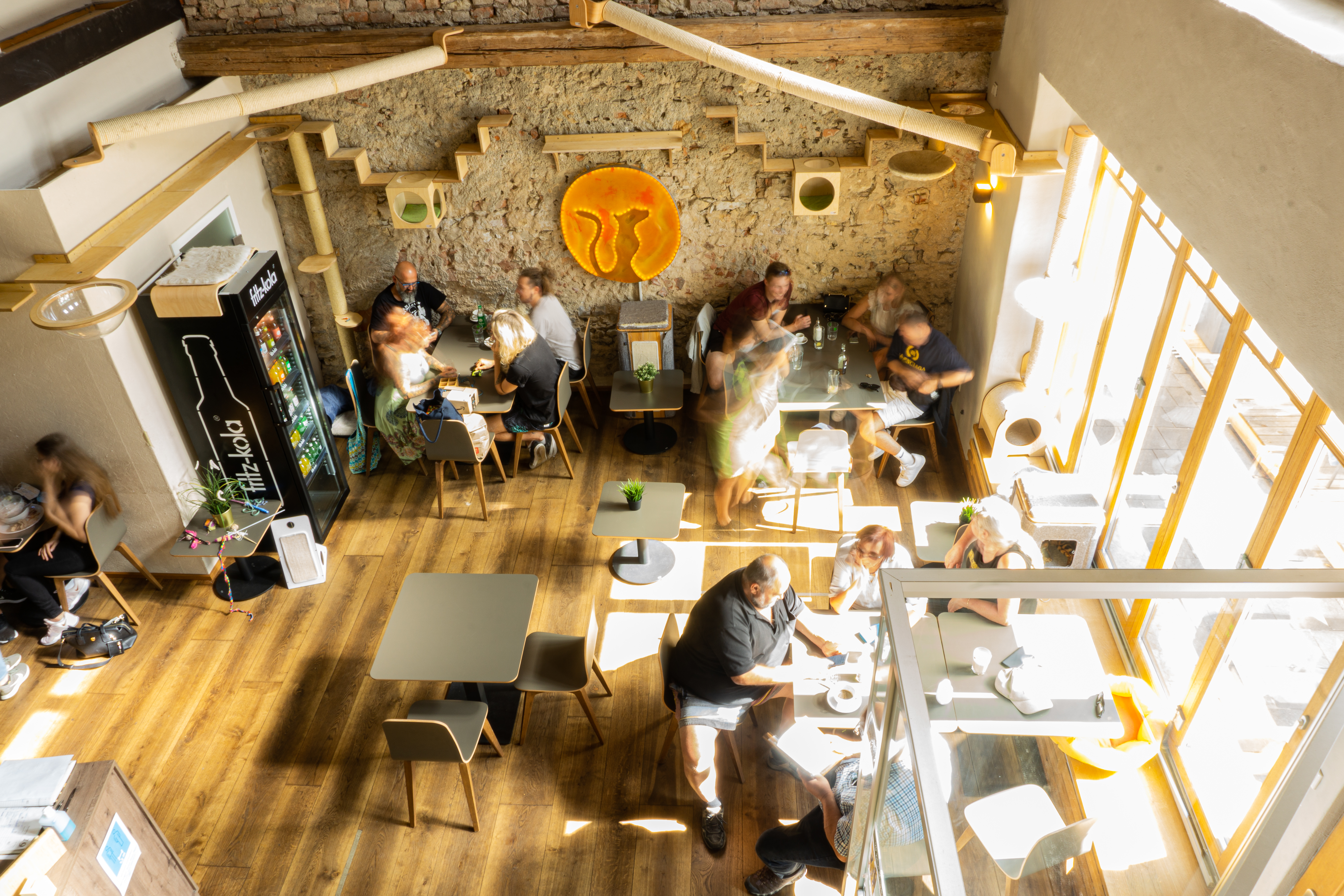 Das Katzen-Café aus der Vogelperspektive | Credit: Katzentempel GmbH