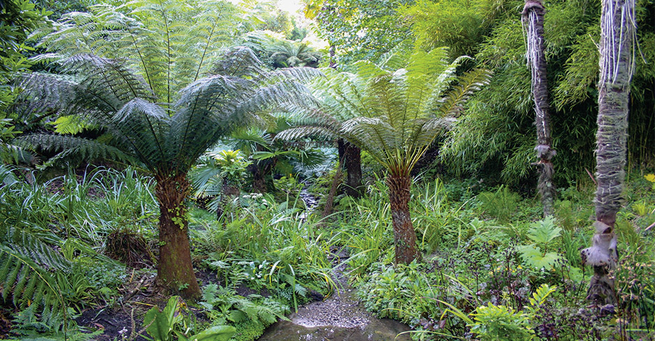 Dschungelfeeling in England