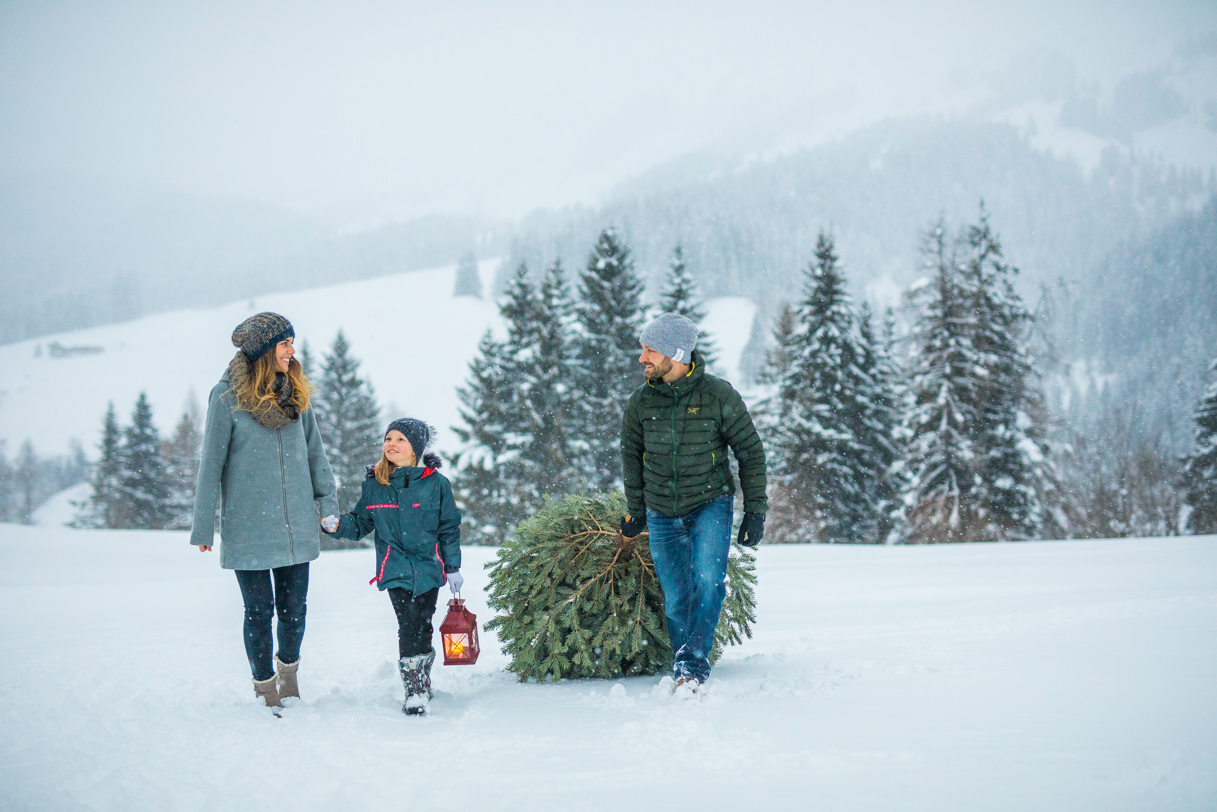 Gemeinsam einen Weihnachtsbaum aussuchen | Credit: SalzburgerLand Tourismus/Michael Groessinger