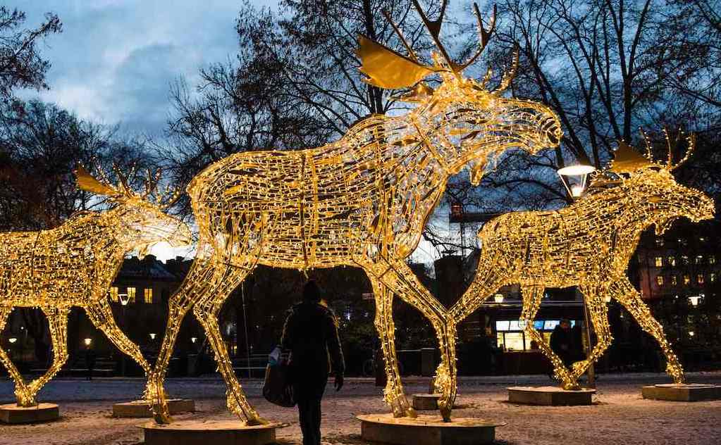 Drei große mit Lichterketten illuminierte Elch-Metallskulpturen in einem Park