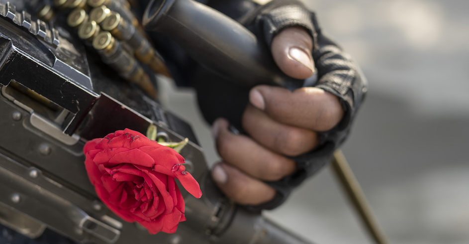 Nahaufnahme eines MG mit Rose