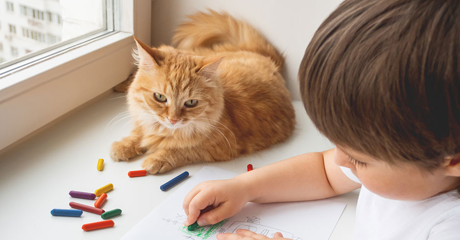 Kleine Katze leistet einem Jungen Gesellschaft, der gerade zeichnet | Credit: iStock.com/Konstantin Aksenov