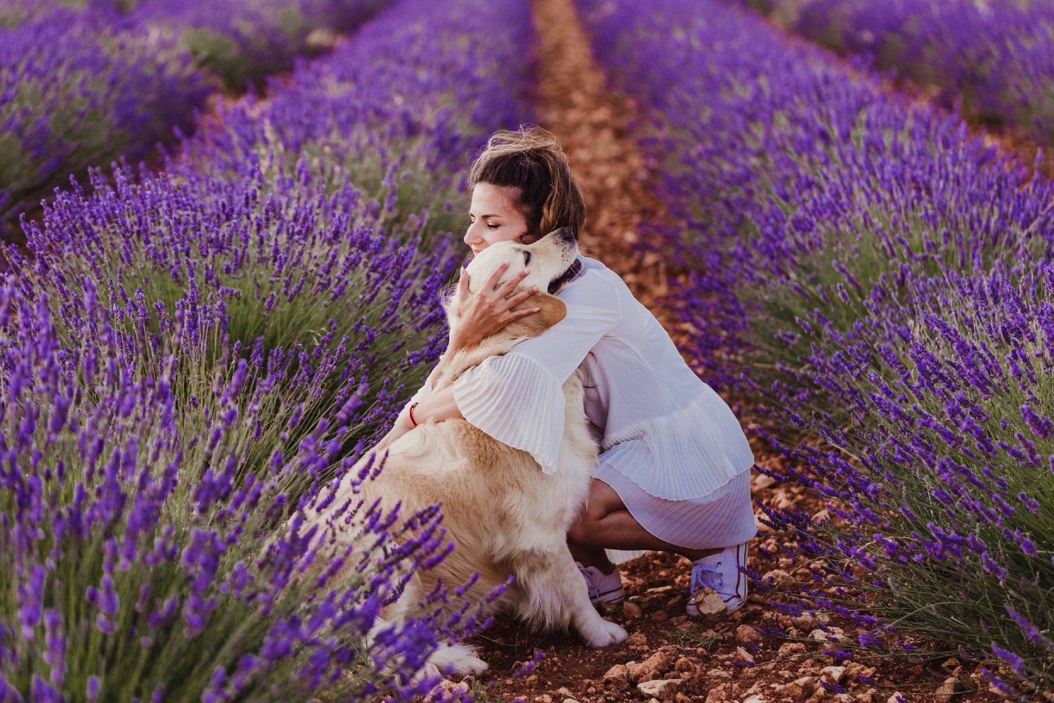 Hund und Besitzerin im Lavendelfeld | Credit: iStock.com/Eva Blanco