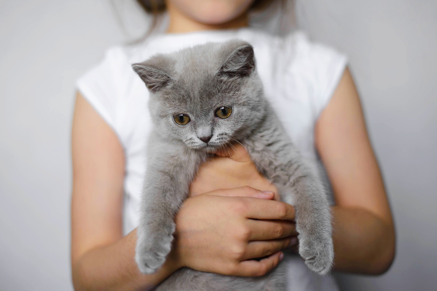 Kind mit Katze | Credit: iStock.com/NataliaBelay