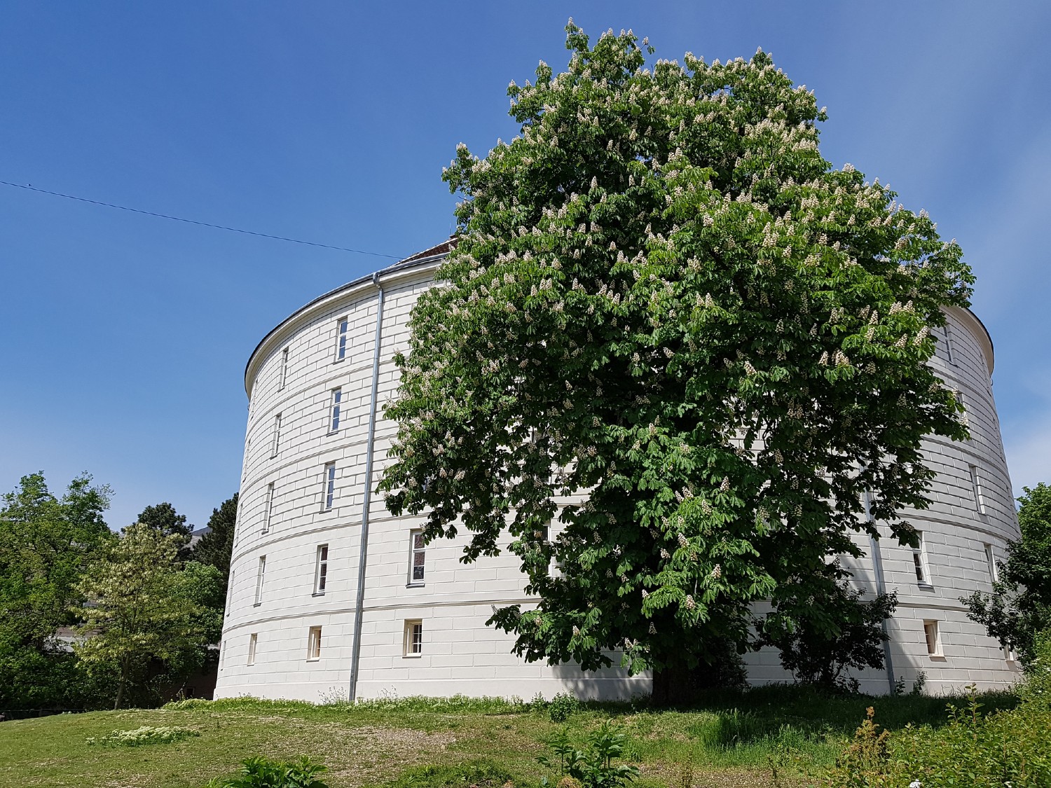 Wiener Narrenturm | Credit: iStock.com/bririemoments