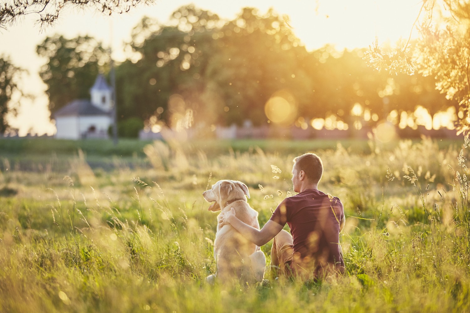 Mann mit Hund auf Wiese | Credit: iStock.com/Chalabala