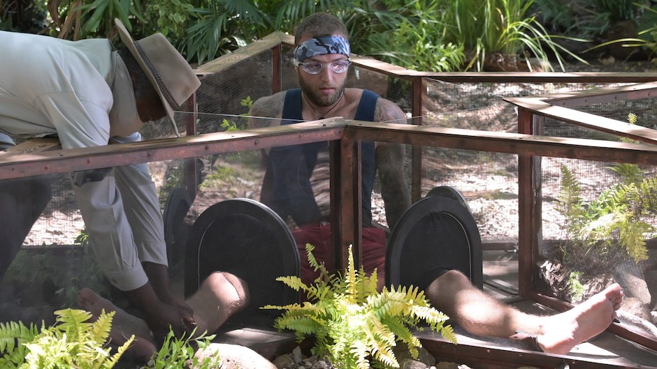 Dschungelprüfung I Credit: RTL/Stefan Menne