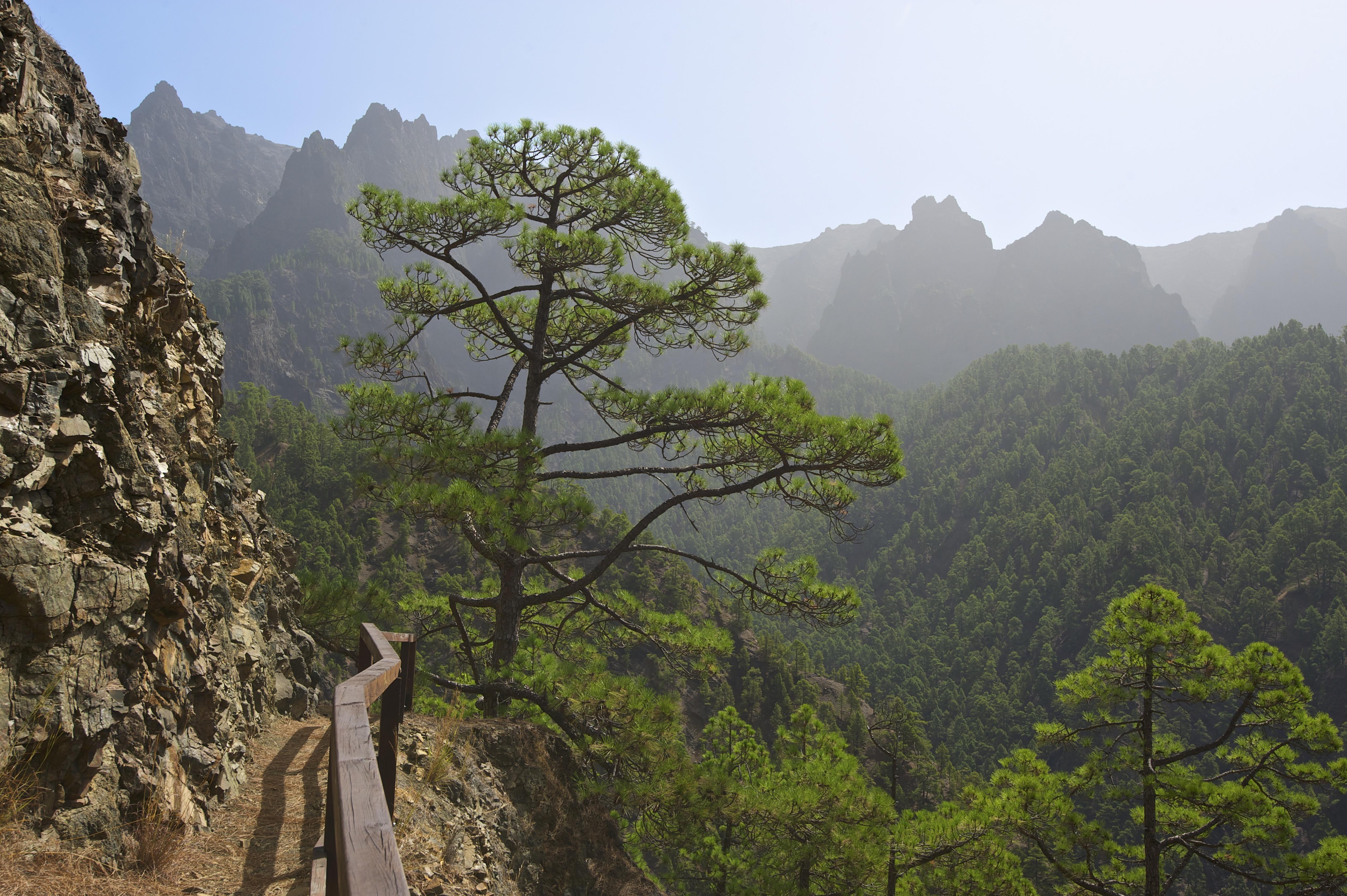 Wanderweg auf La Palma | Credit: Katja Kreder / imageBROKER / picturedesk.com
