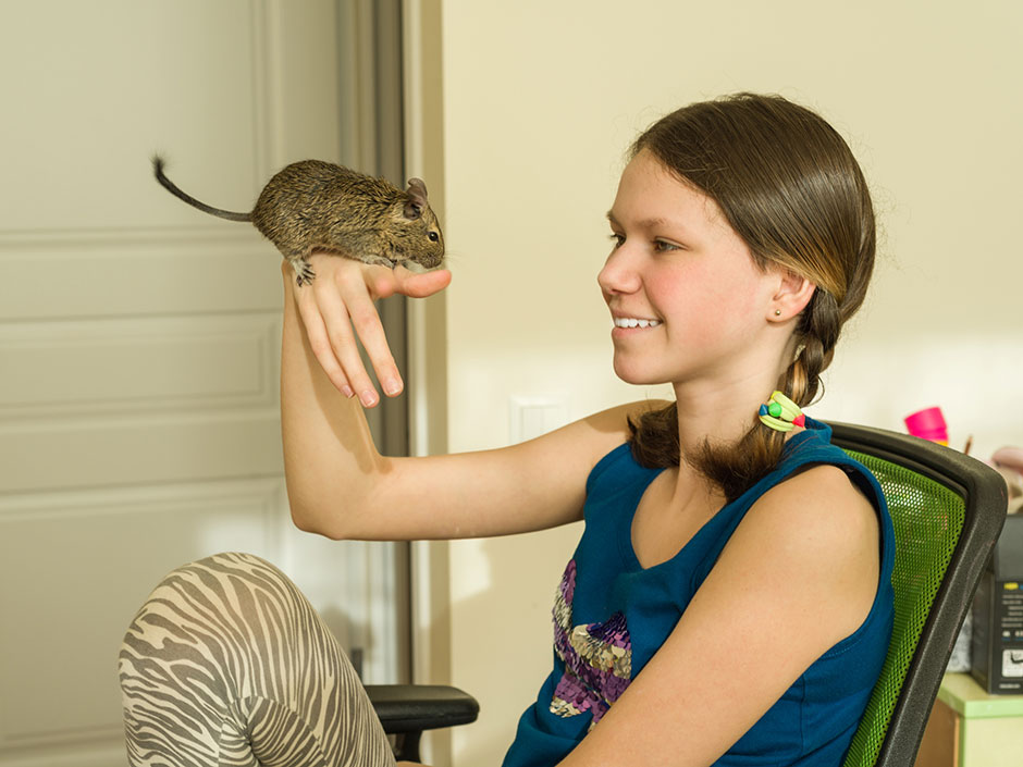 Junges Mädchen mit ihrem Degu auf dem Arm | Credit: iStock.com/Valeriy_G