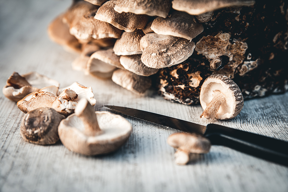 Shiitake | Credit: iStock.com/miriam-doerr
