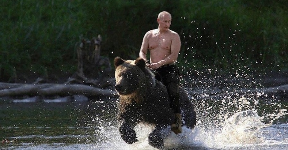 Putin scheint auf einem Bären zu reiten